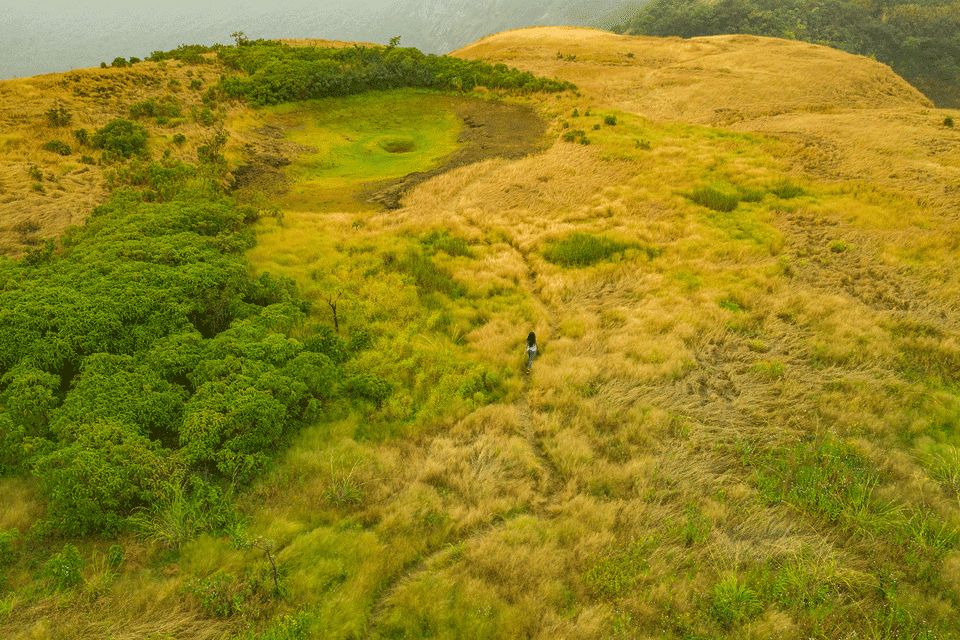 Dharana at Shillim 5*